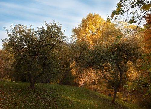 Два танцора