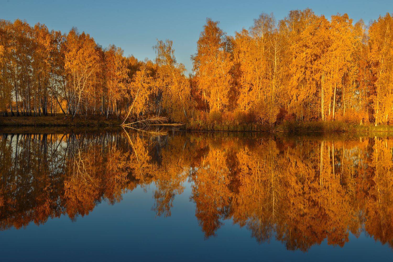 зауралье, курганская, Кутыгин Эдуард