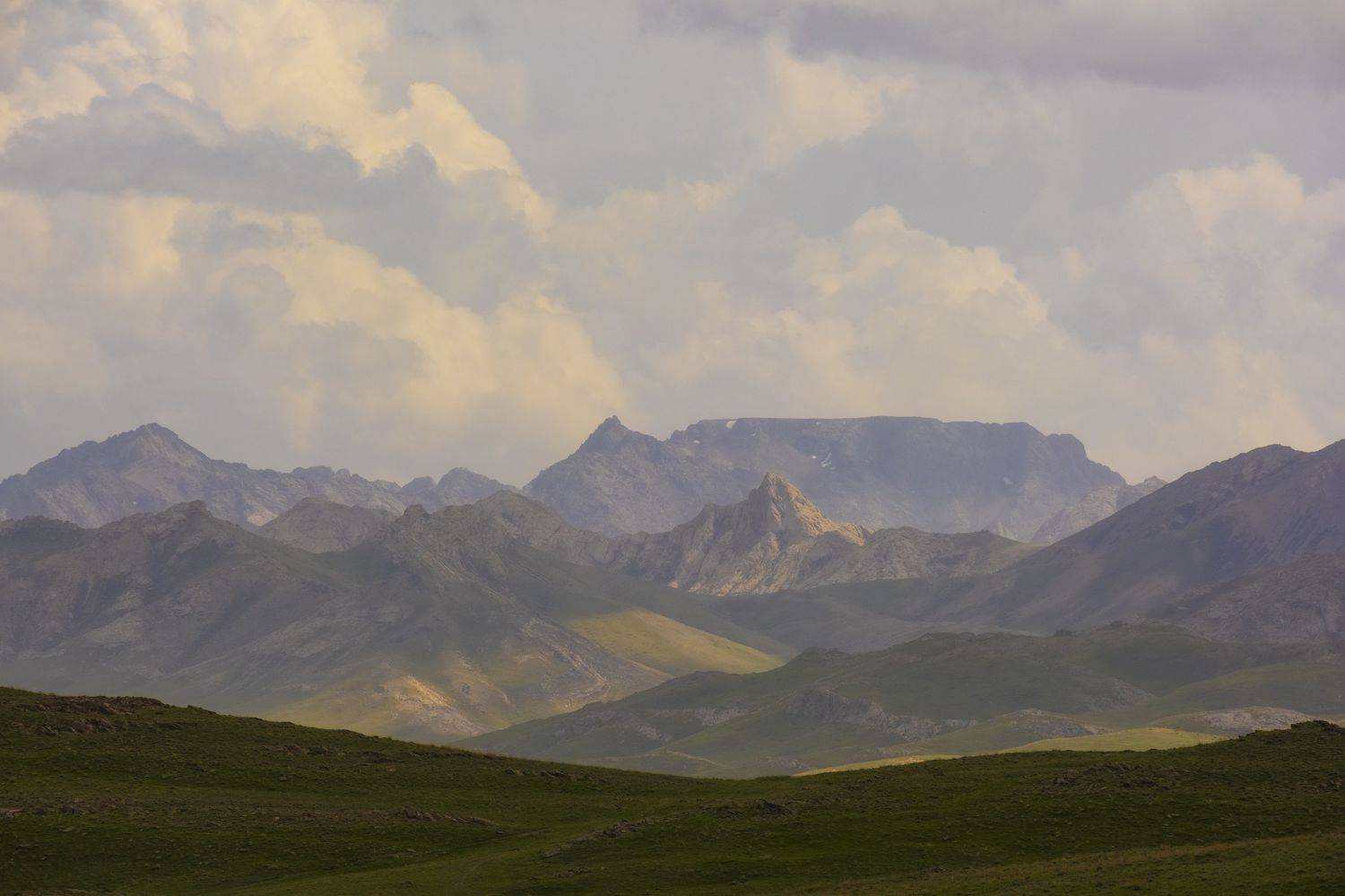 , Светлана Краюшкина