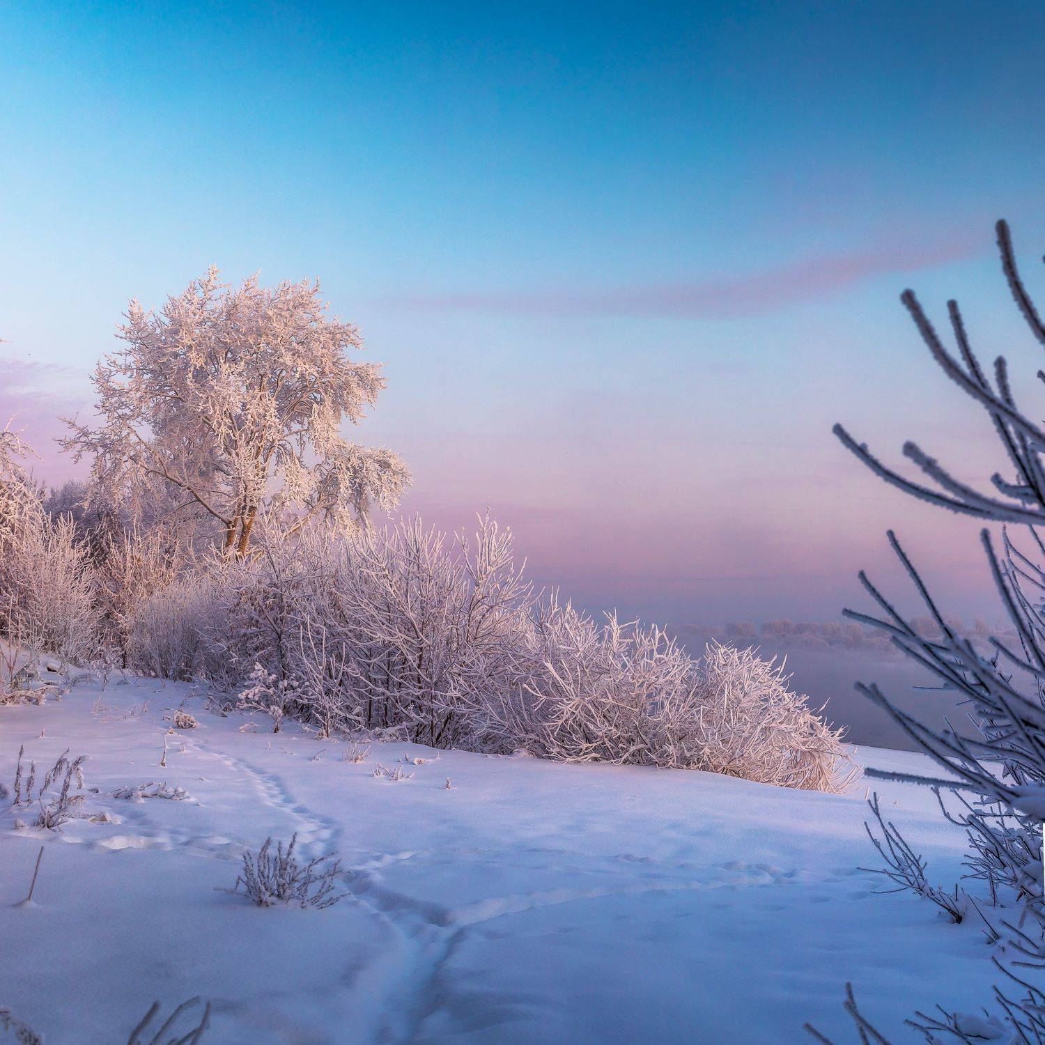 берег, вода, мороз, декабрь, холодно, утро, дерево, ярко, снег, зима, небо, тропинка, тропка, иней, снежно, белое, белымбело, Панагушин Сергей