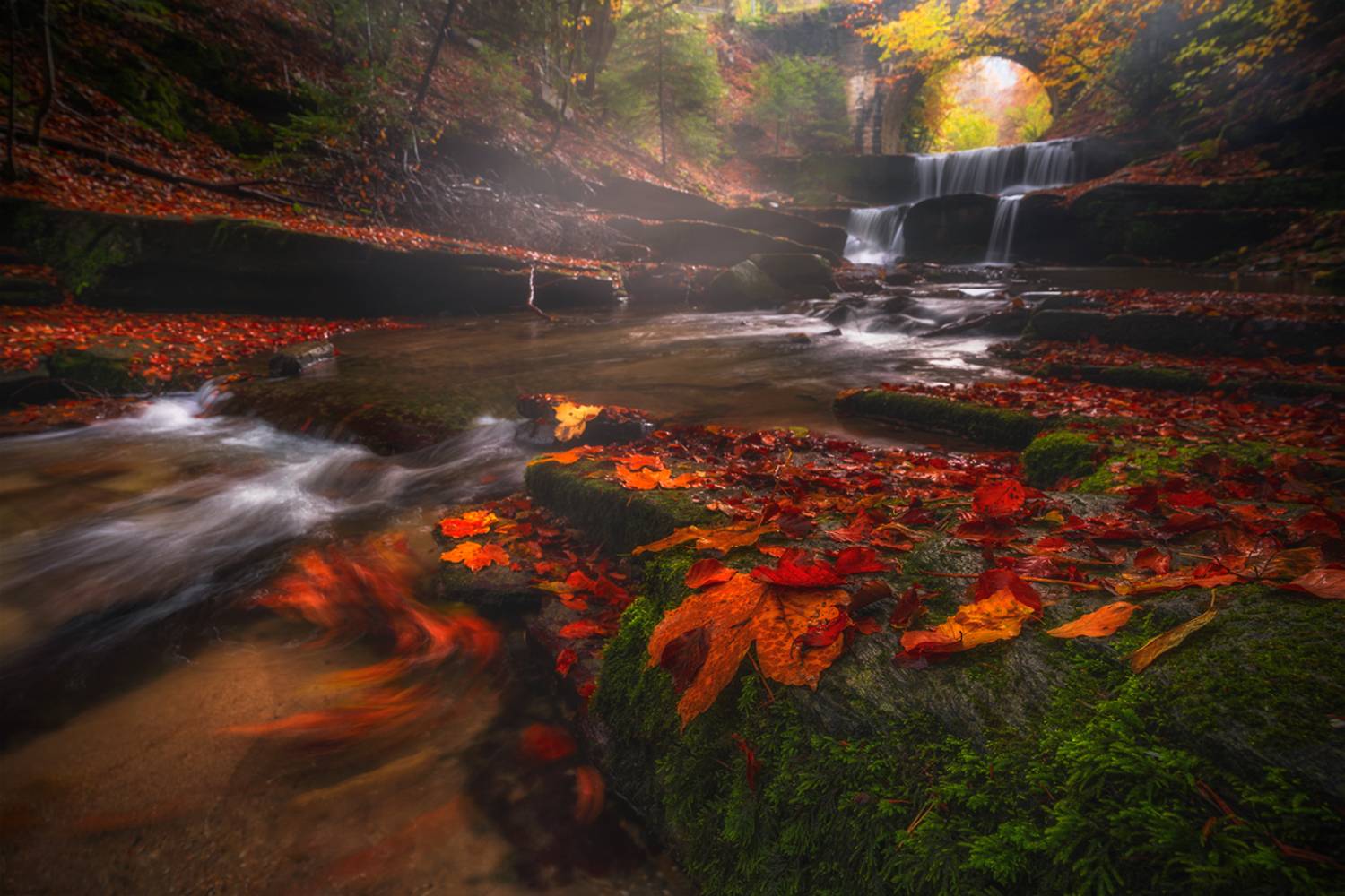 landscape, nature, scenery, forest, wood, autumn, fall, waterfall, river, mountain, rodopi, bulgaria, лес, Александър Александров