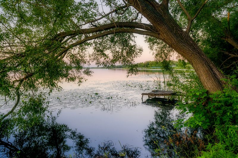 лето, вечер, река, листья, деревья, пейзаж Посвящение ушедшим друзьям... фото превью