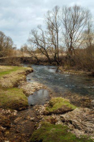 Тульская область