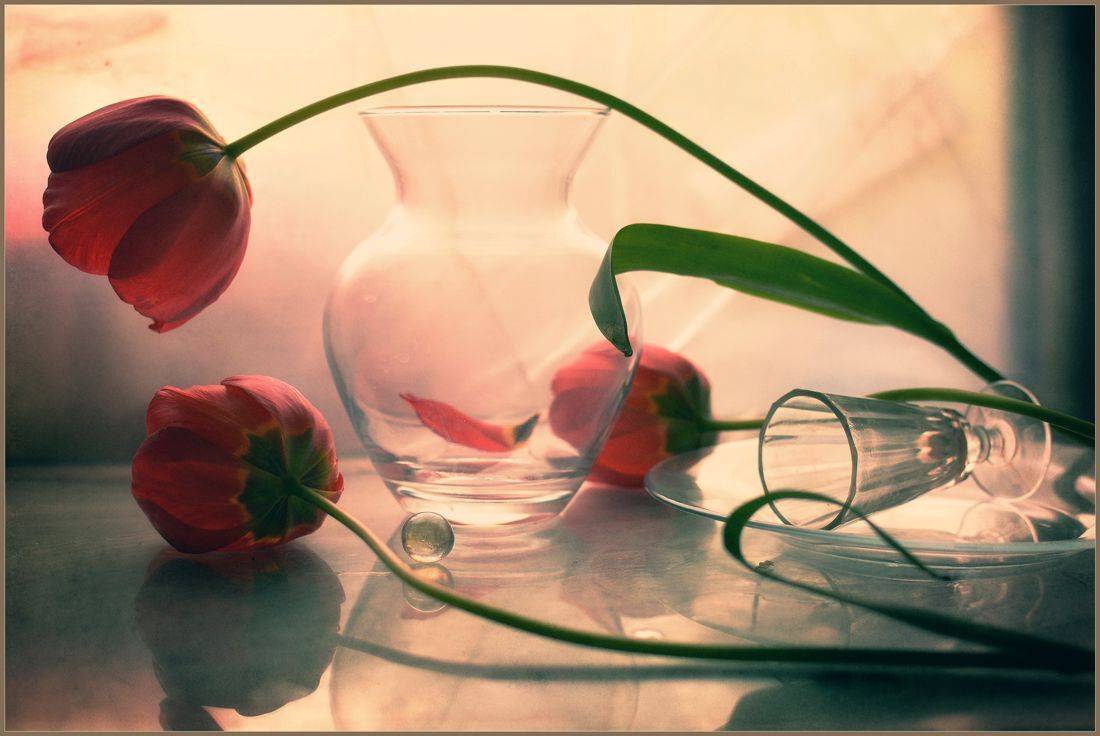 , Хромеев Александр