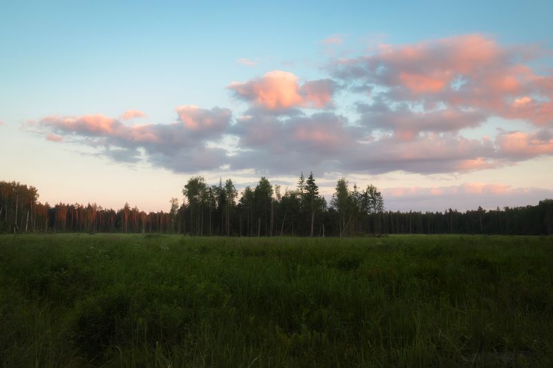 Закат в лесу фото превью