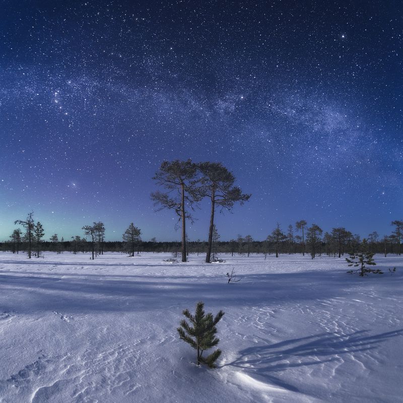 пейзаж, ночь, звёзды, болото, сосны, млечный путь, landscape, nightscape, pine, milkyway, night, stars, swamp, tent Семья фото превью