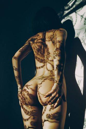 Patterns of the body