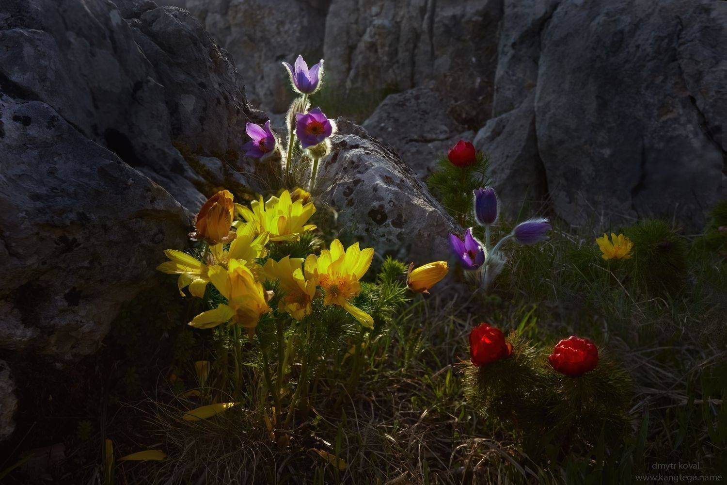 дмитр коваль, гималаи и крым вне треков, пейзаж как магия, Коваль Дмитр