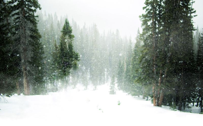 Winter is died in some country\'s фото превью