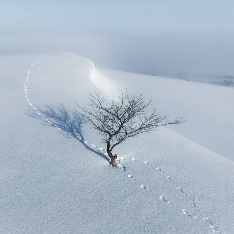 Hokkaido Japan