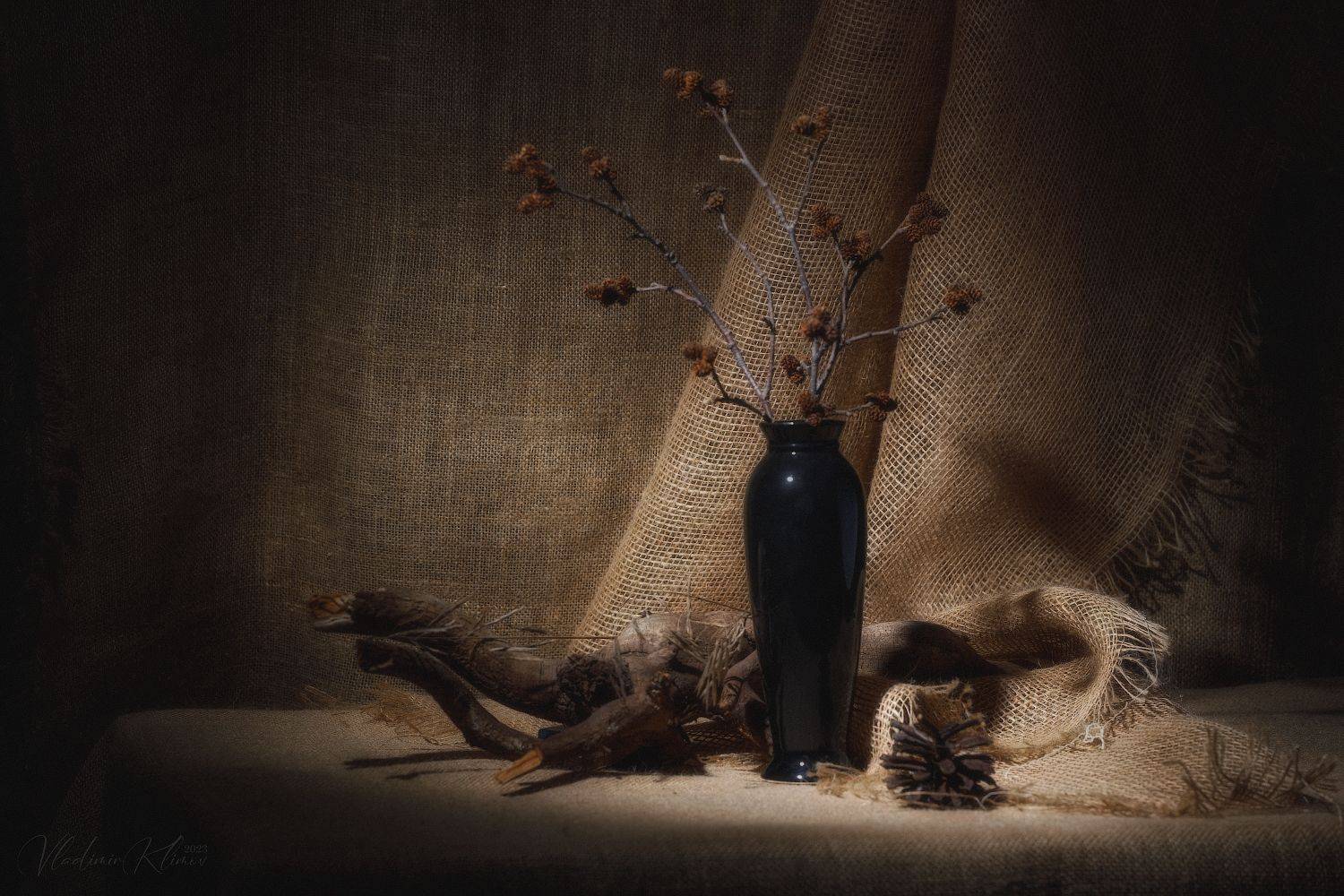 , Владимир Климов