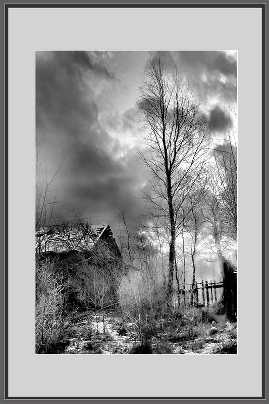 Заимка фото превью