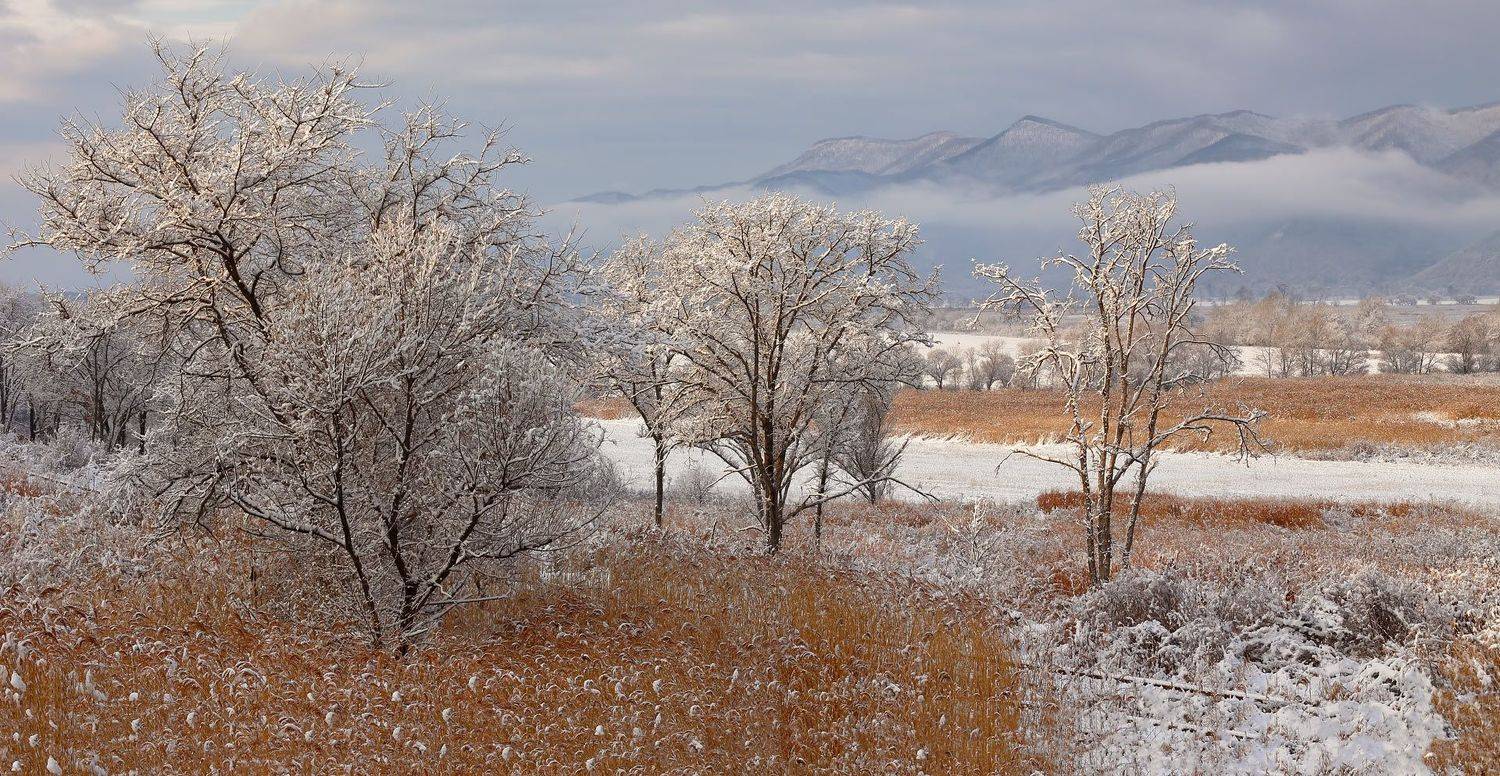 утро, партизанский район, приморский край, первый снег, узкоколейка, Евгений Паршуков