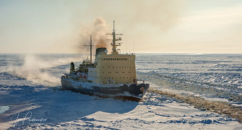 В Карском море фото превью