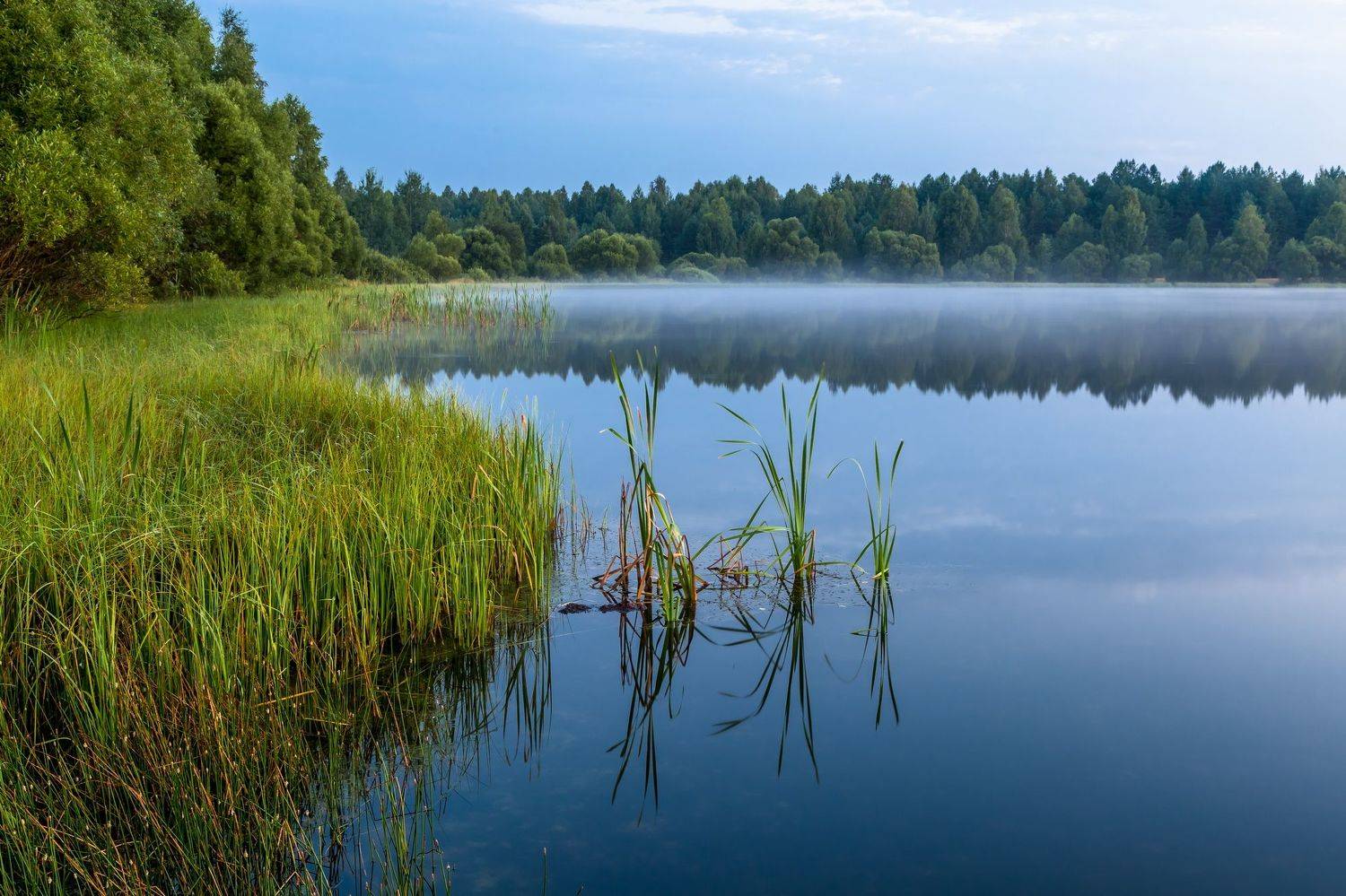 озеро, туман, утро, лето, пейзаж, Юрий Морозов
