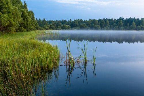 Тишина у сонной воды
