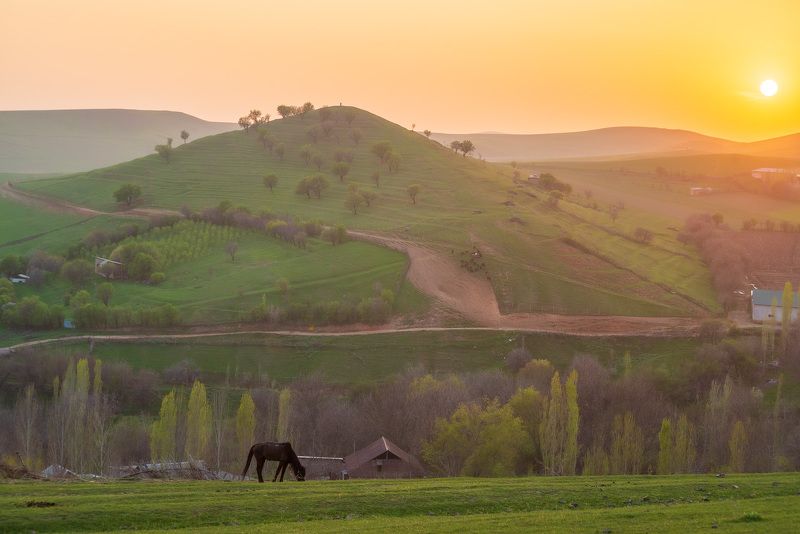 узбекистан, uzbekistan  фото превью