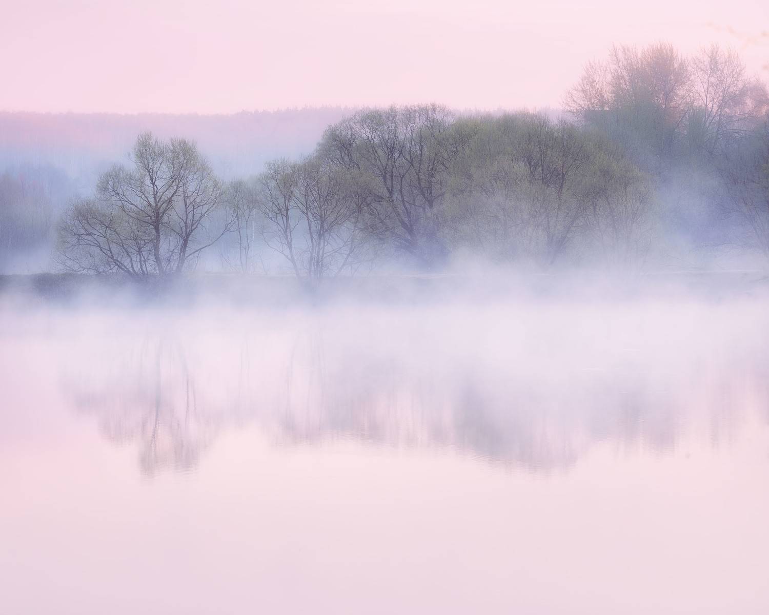 природа, утро, рассвет, утренний рассвет, нега, пастель, пейзаж, туман, Мартыненко Дмитрий