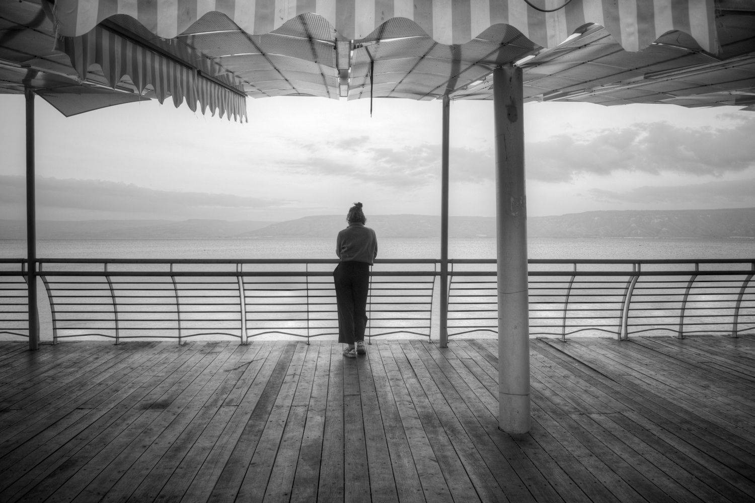 , David Solodar