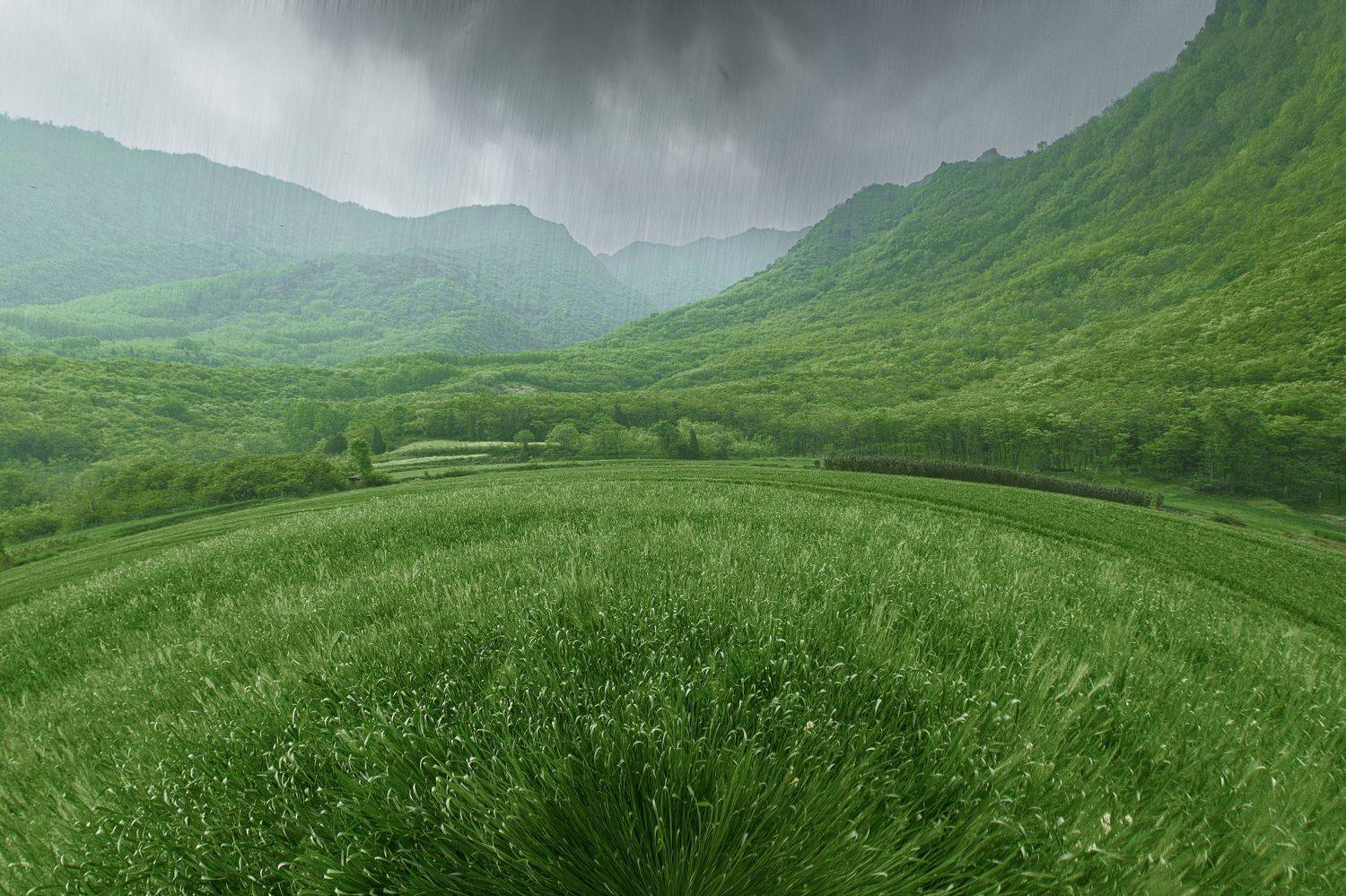 丝雨碧野, 吴 微雨墨烟鸿