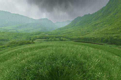 丝雨碧野