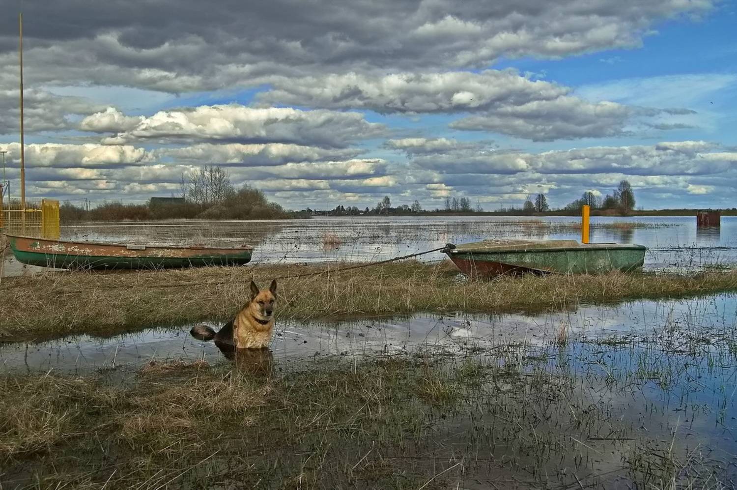 , Николаев Владимир