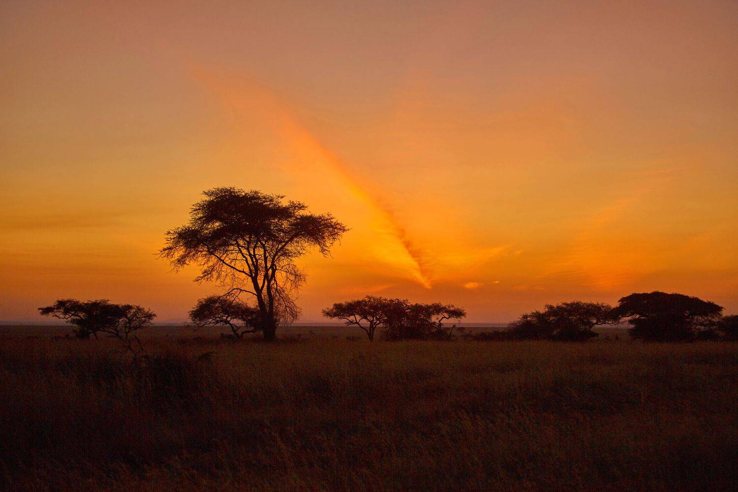 , Усманов Рашид