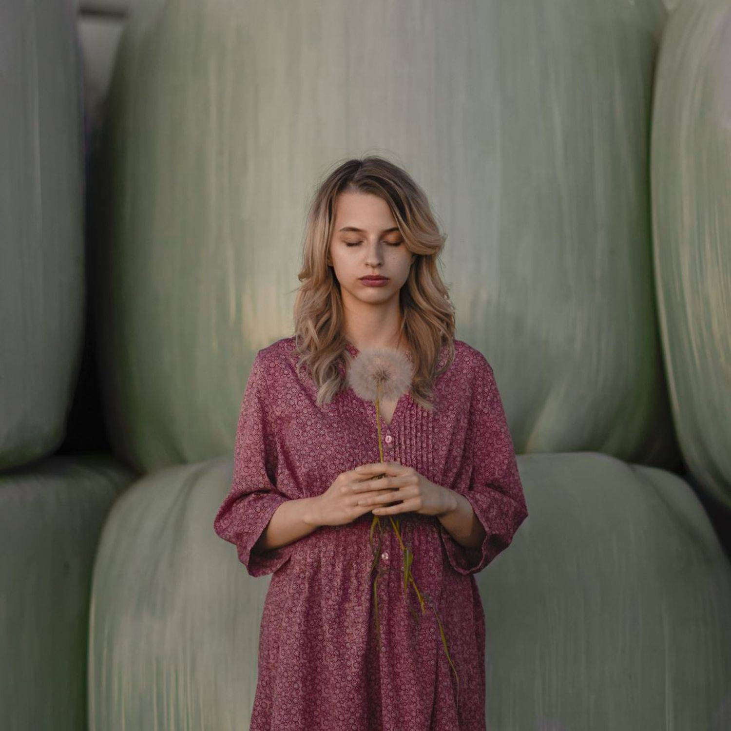 Одуванчик, вечер, девушка, Natalie Seitner