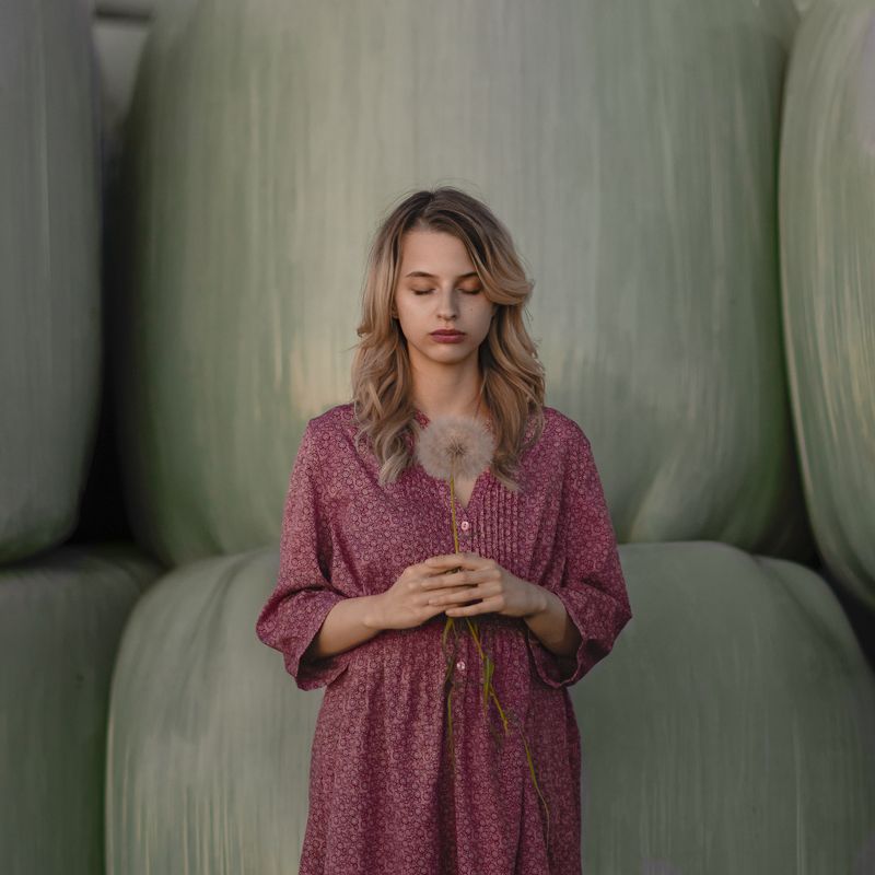 Одуванчик, вечер, девушка  фото превью