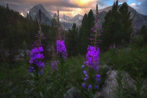 В горной долине