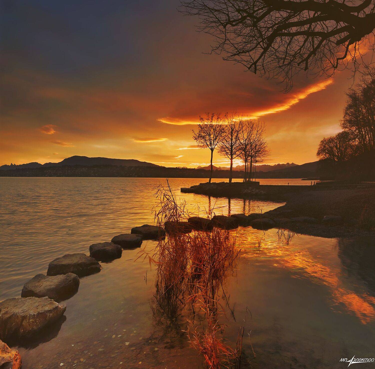 swiss,швейцария,зима,gen&egrave;ve, Николай Матвеев