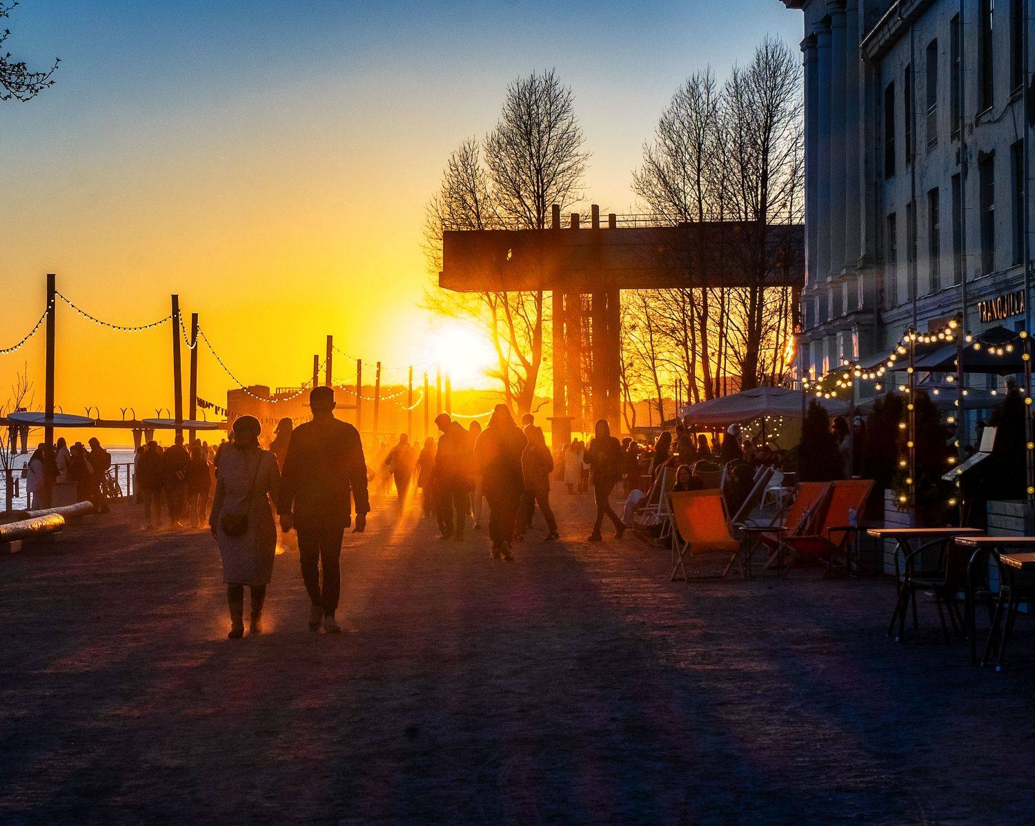 , Вавилова Елизавета