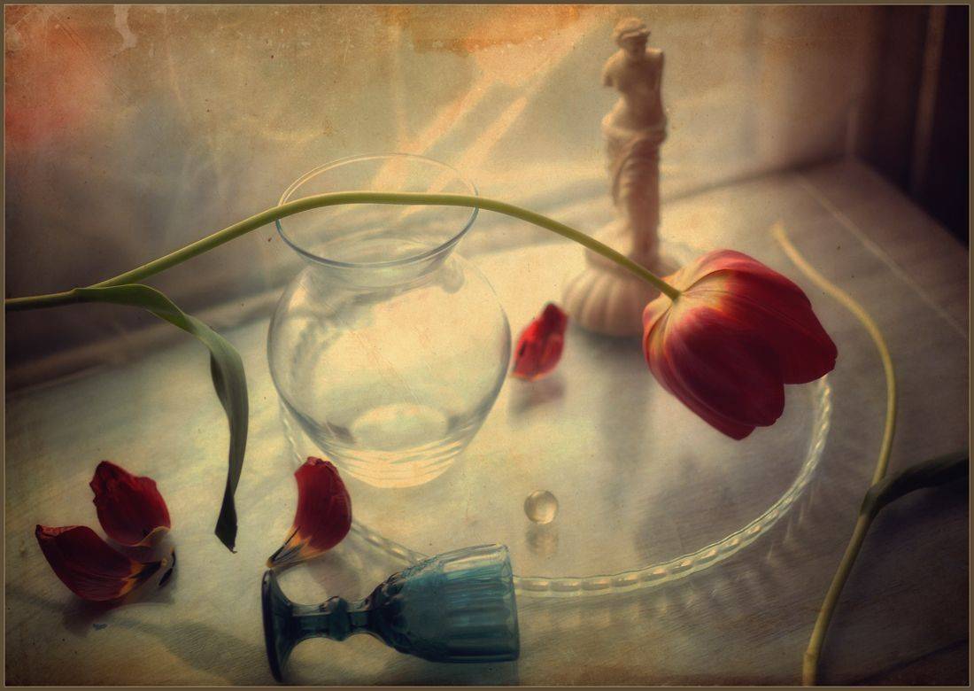 , Хромеев Александр