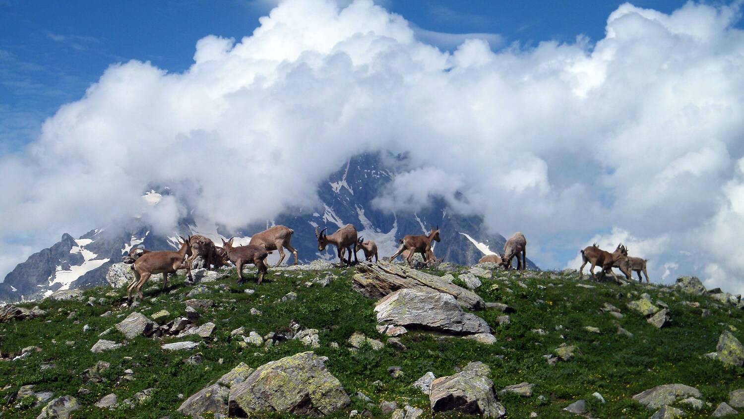 архыз, Андрей Любимов