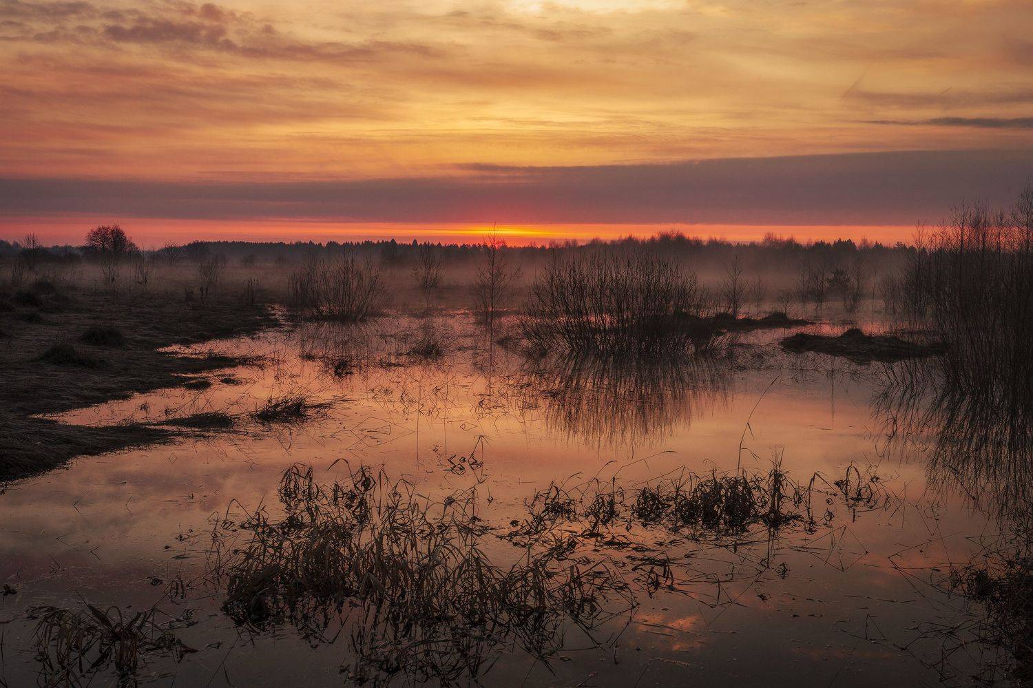 Владимирская область, Елена Гусева