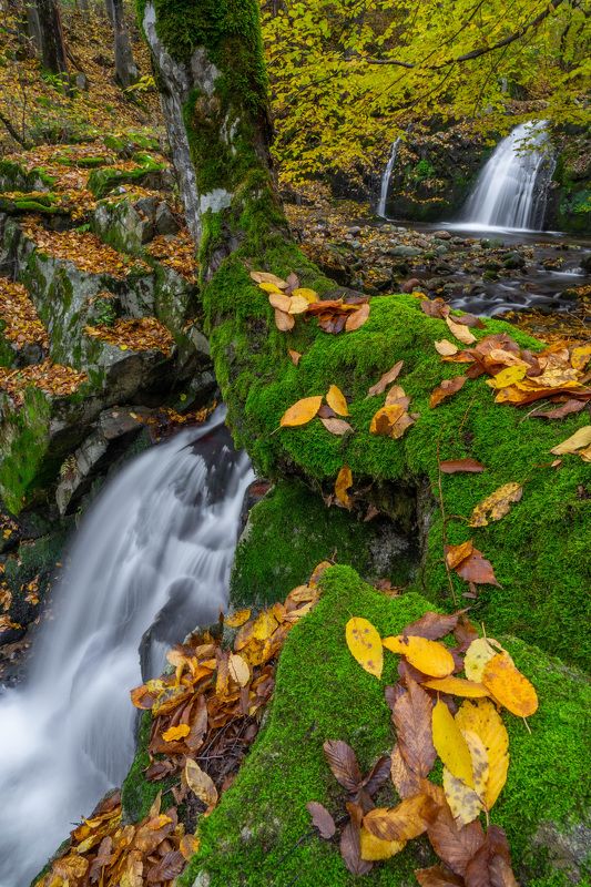 autumn landscapes nature waterfalls  The colors of Autumn7 фото превью