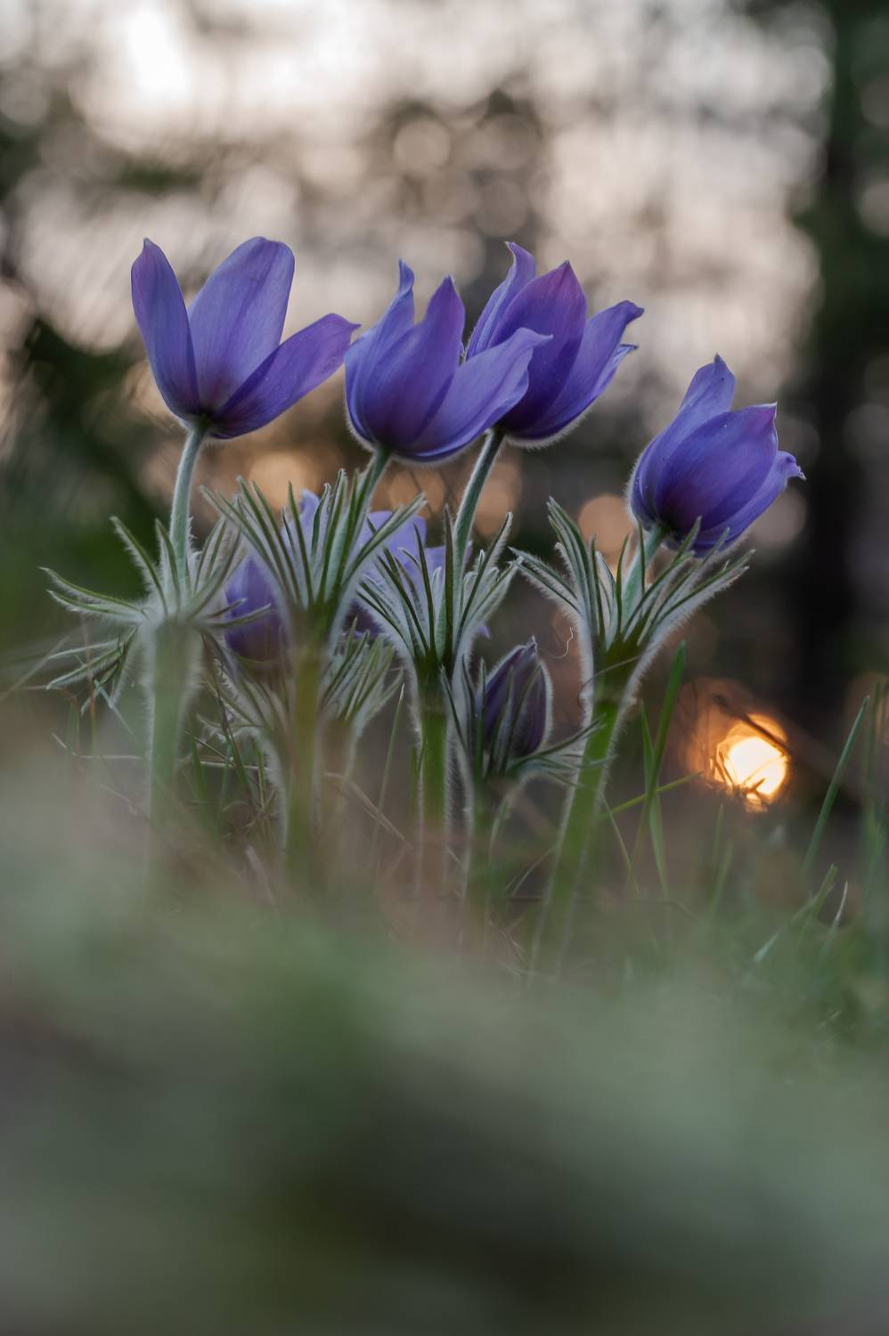 , Роман Зайцев