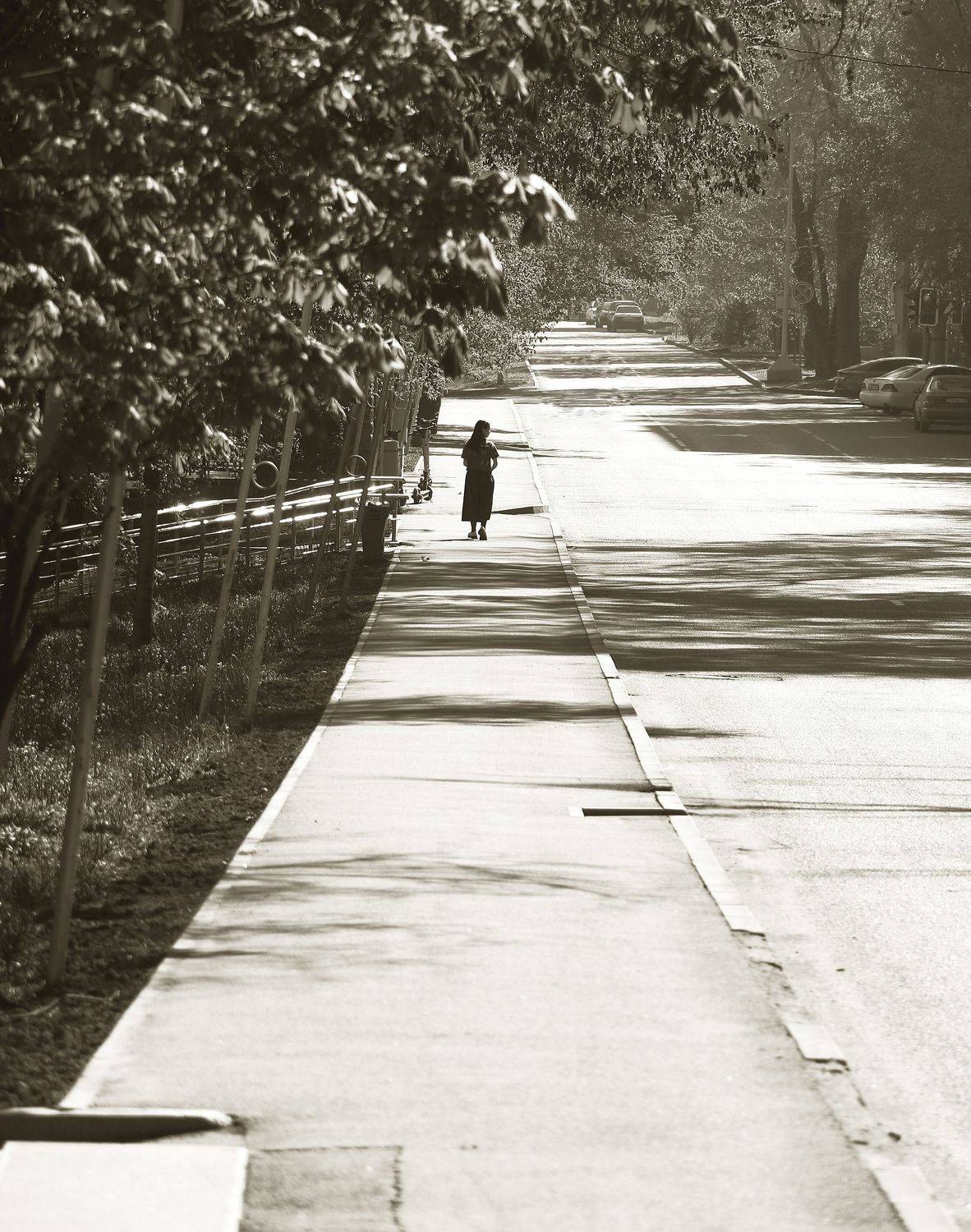 шаварёв, стрит, город, алматы,, Александр Шаварёв