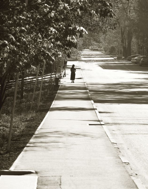 шаварёв, стрит, город, алматы, Lonely path. фото превью