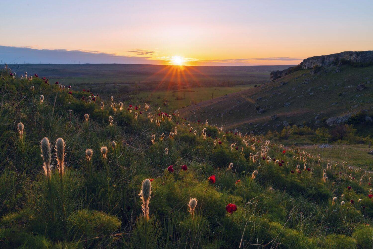 , Юлия Мальцева