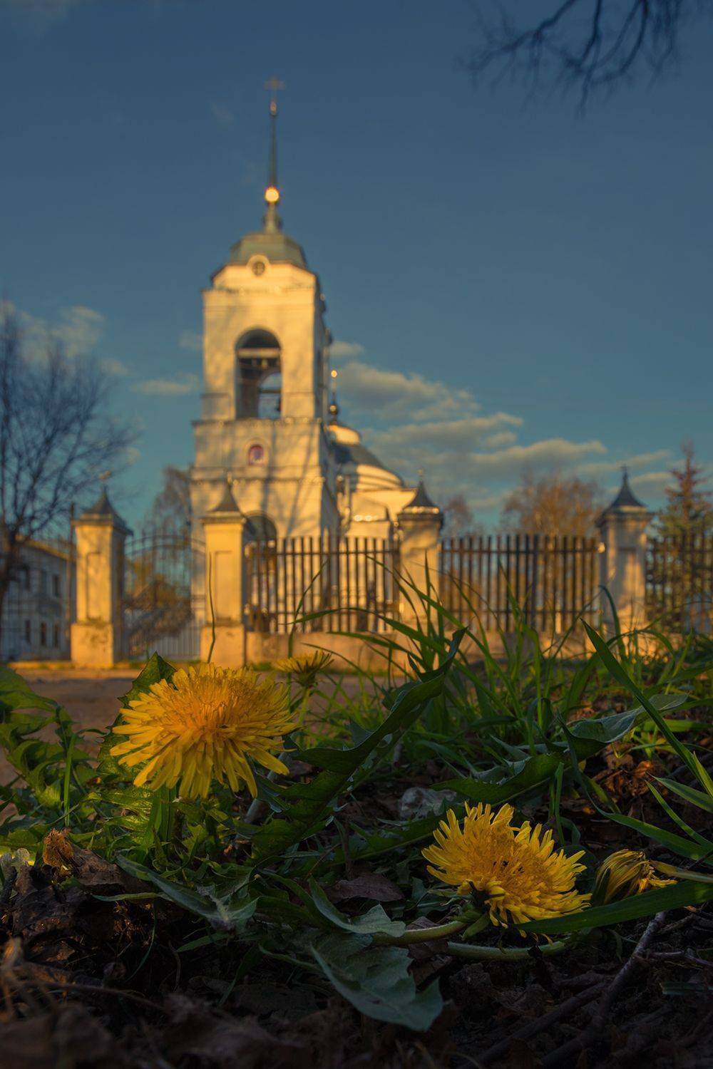 кострома, Елена Рубинская