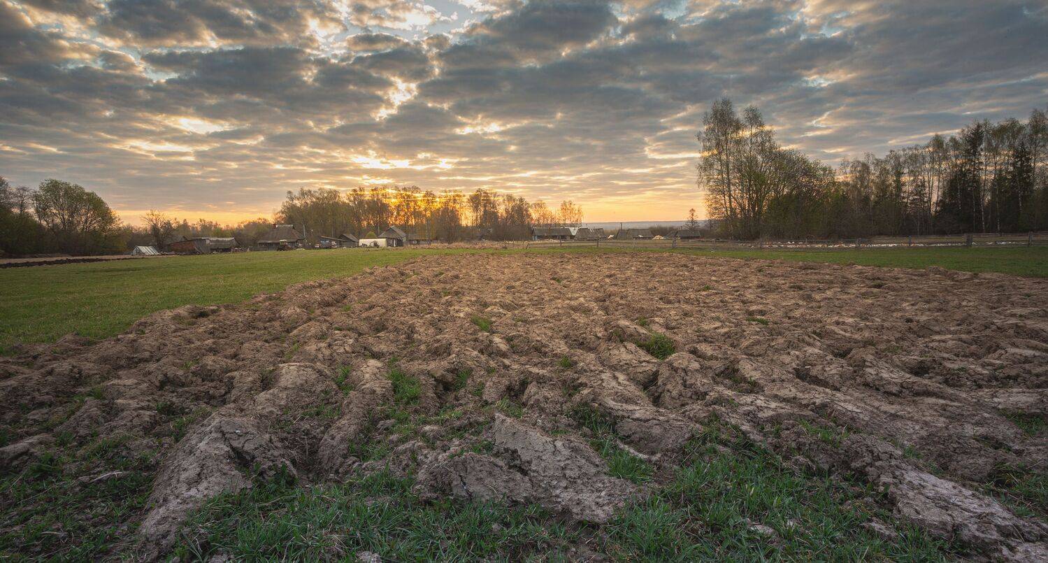 , Зеленько Дмитрий