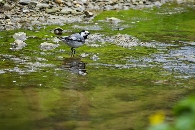 2023 фото превью
