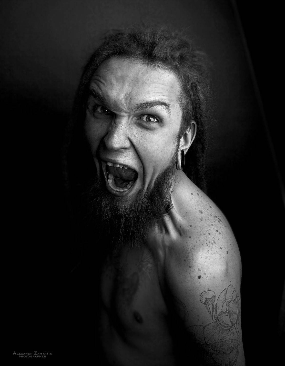 , Александр Замятин