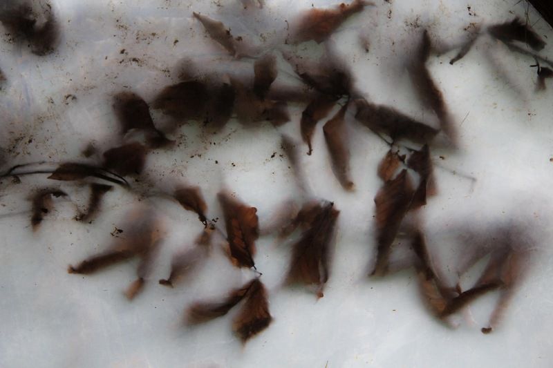 You need to be grow фото превью