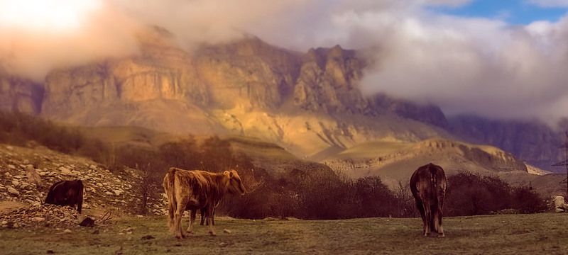Осетия фото превью
