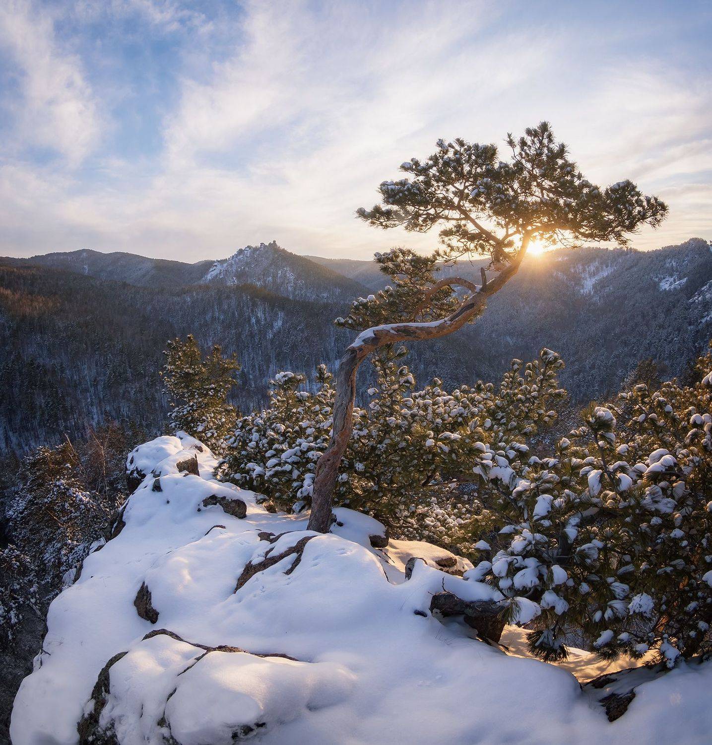 , Лещёнок Александр