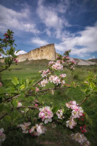 Крымская открытка