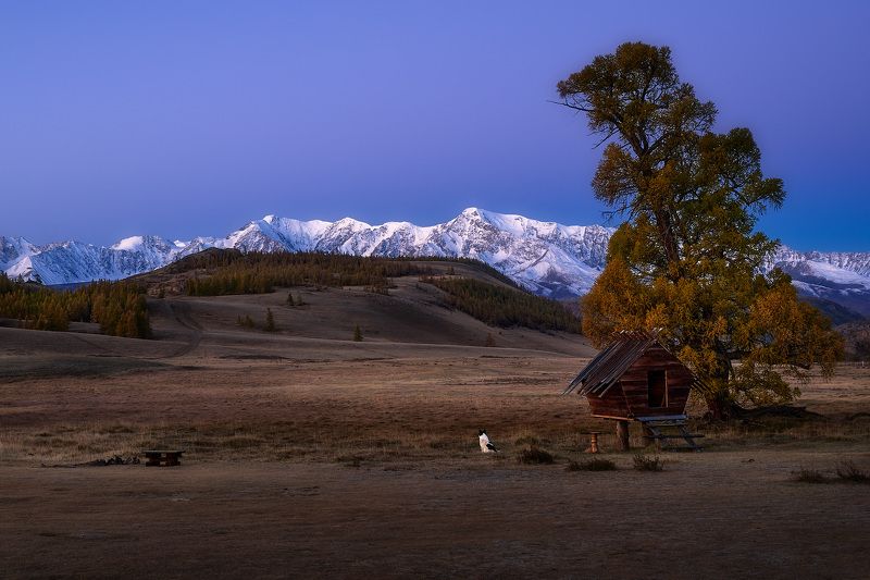 Ожидая рассвет фото превью