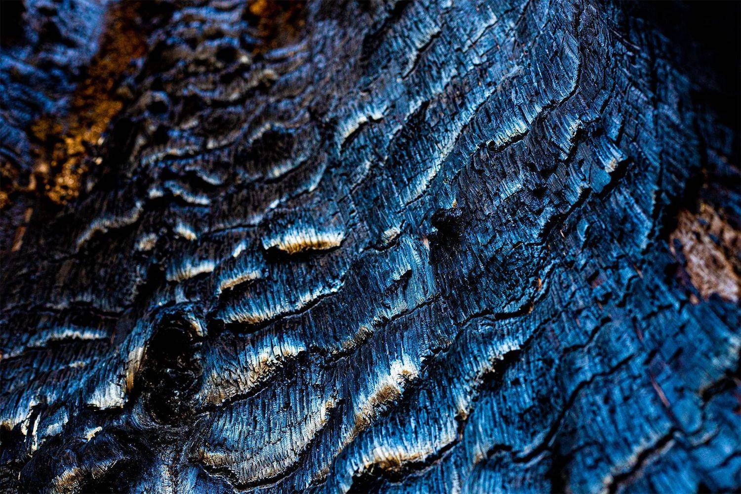 , Чудинин Дмитрий